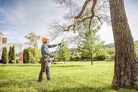 Best Hazardous Tree Removal  in Pleak, TX